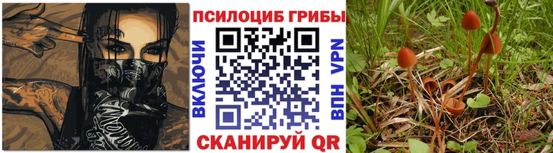 MEGA как войти  Дятьково  Псилоцибиновые грибы GOLDEN TEACHER 