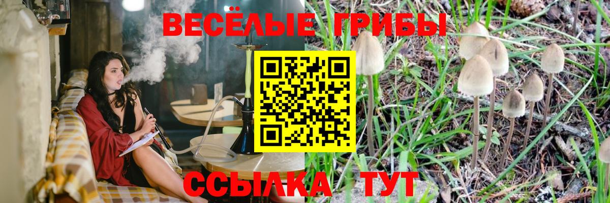 Псилоцибиновые грибы GOLDEN TEACHER Дятьково